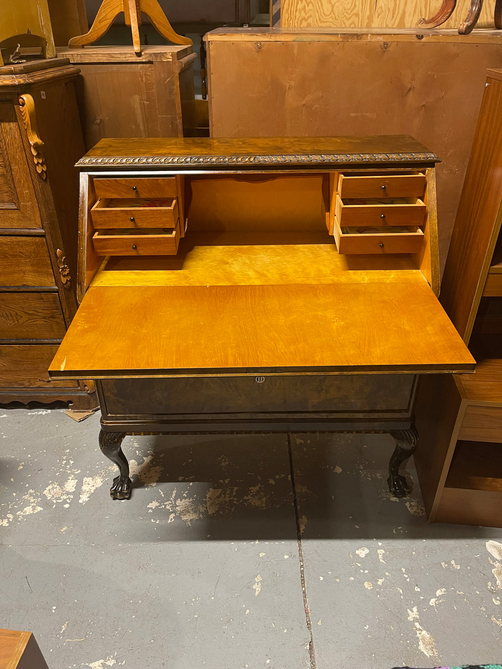 Vintage Burl Walnut Slant-Front Bureau Desk | Rococo Ball & Claw Foot Writing Secretary