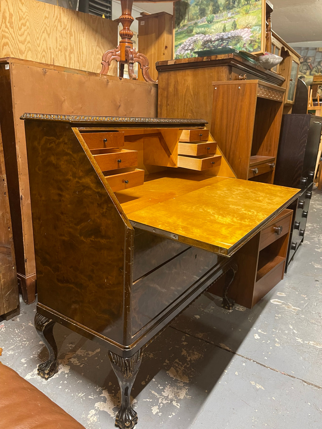 Vintage Burl Walnut Slant-Front Bureau Desk | Rococo Ball & Claw Foot Writing Secretary
