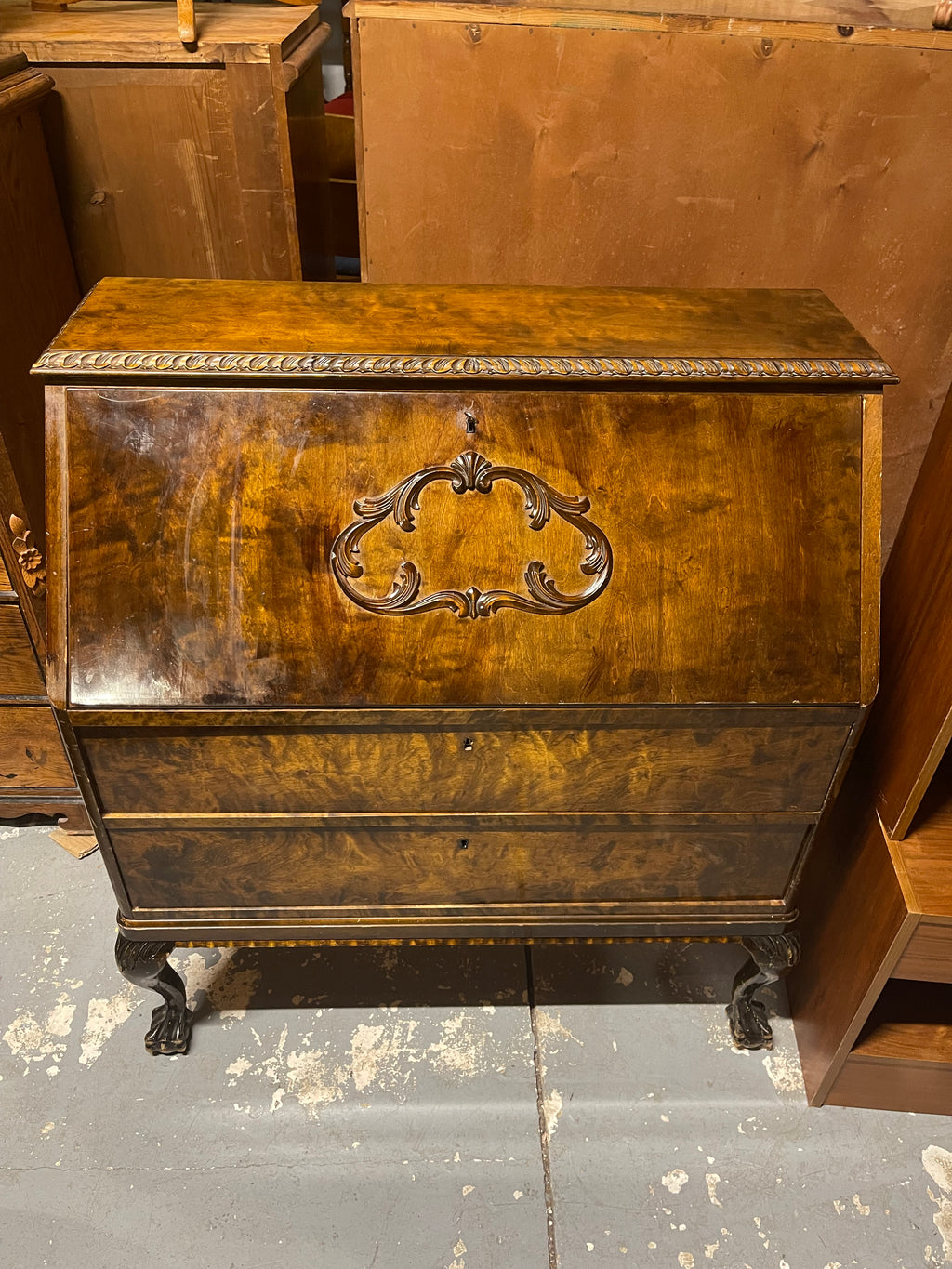 Vintage Burl Walnut Slant-Front Bureau Desk | Rococo Ball & Claw Foot Writing Secretary
