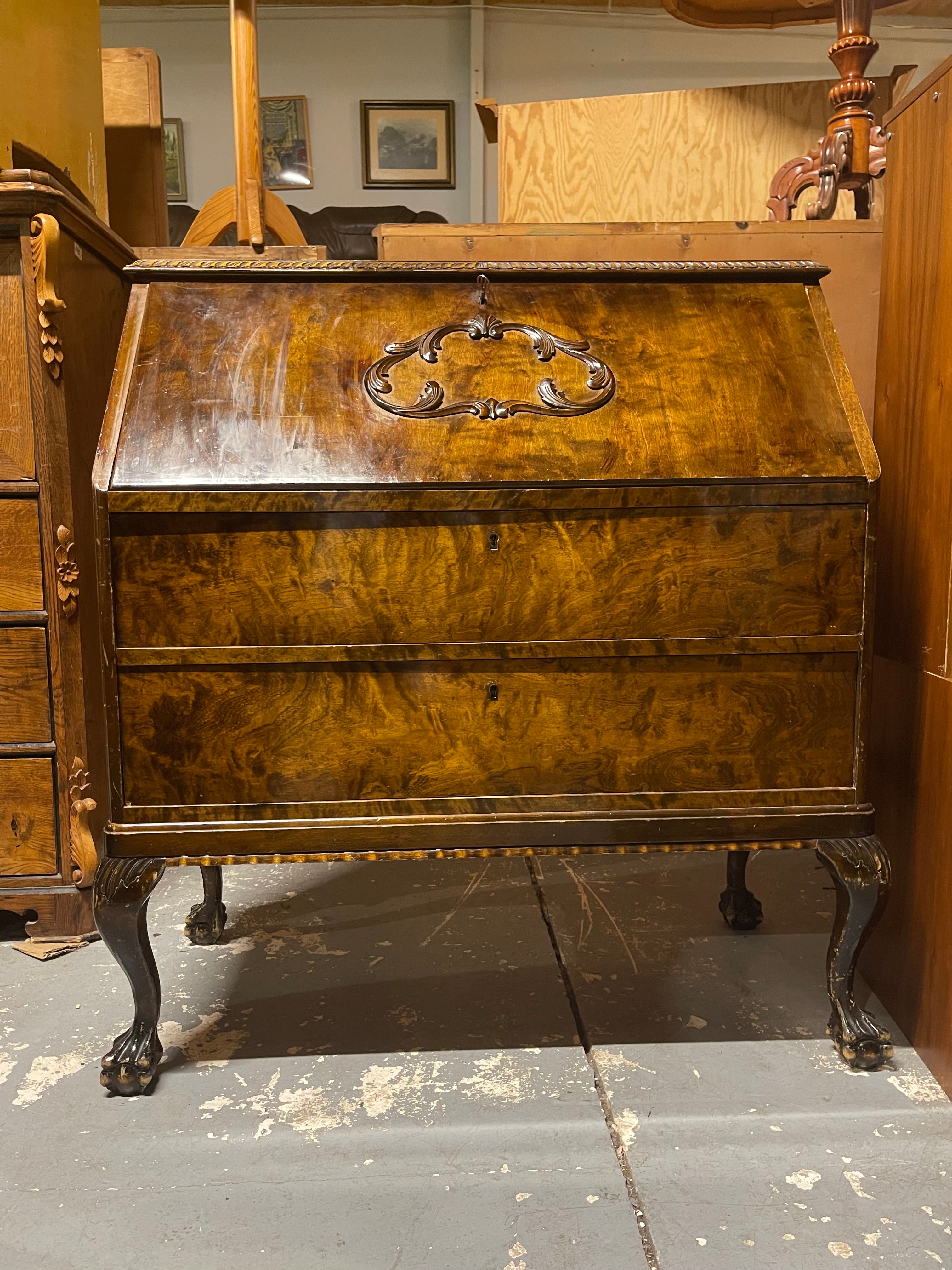 Vintage Burl Walnut Slant-Front Bureau Desk | Rococo Ball & Claw Foot Writing Secretary