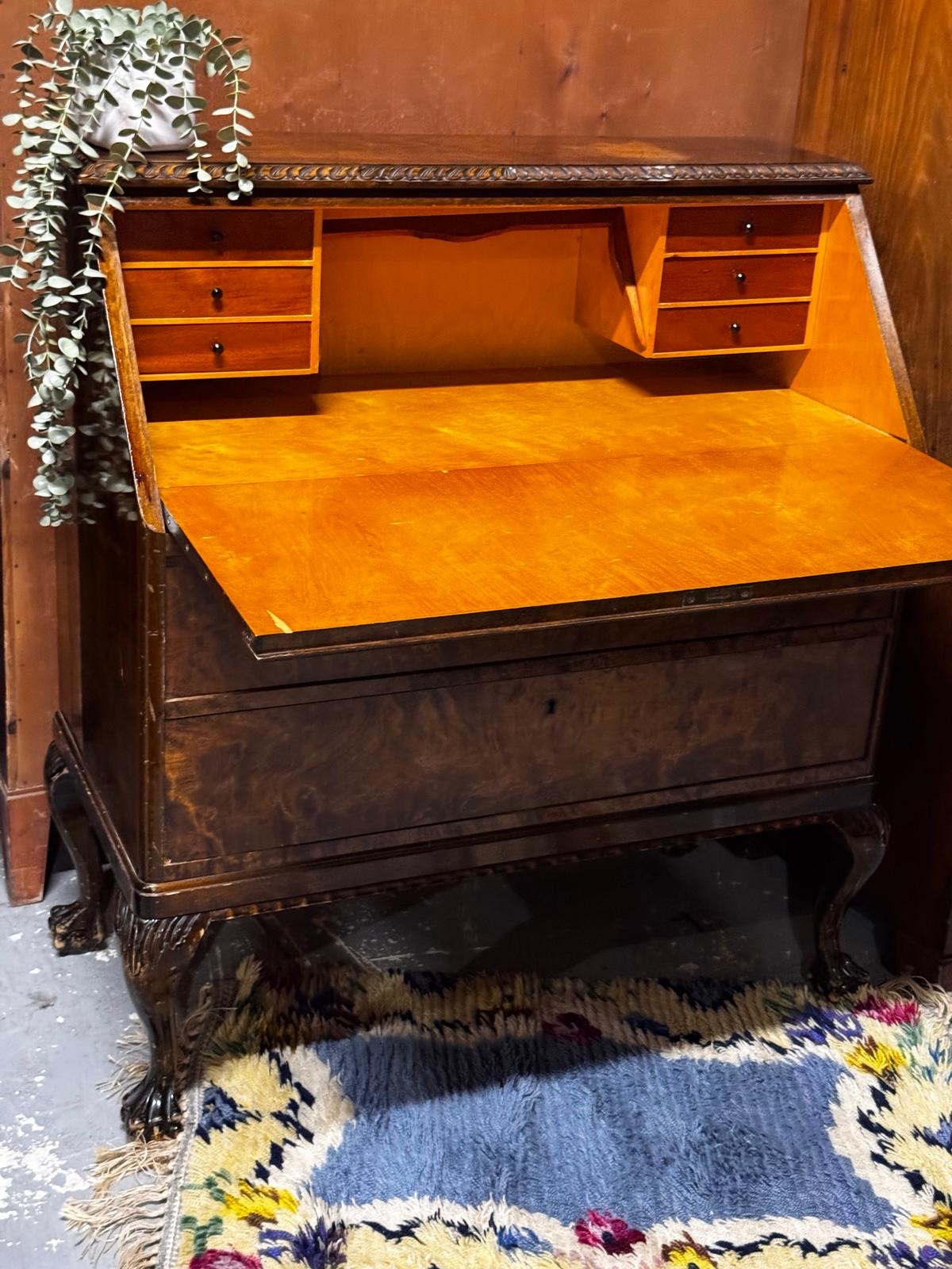 Vintage Burl Walnut Slant-Front Bureau Desk | Rococo Ball & Claw Foot Writing Secretary